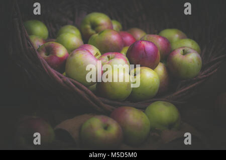 Apple, panier, la floraison, la composition, l'obscurité, délicieux, de l'alimentation, fruits, vert, nature, bio, rouge, aigre, still life, l'été, sucré, végétarien Banque D'Images