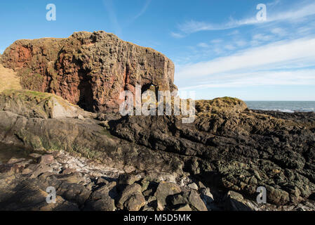 Roche de l'éléphant, près de la ville de Montrose, Angus, Scotland. Banque D'Images