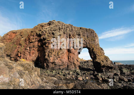 Roche de l'éléphant, près de la ville de Montrose, Angus, Scotland. Banque D'Images