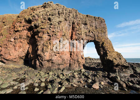 Roche de l'éléphant, près de la ville de Montrose, Angus, Scotland. Banque D'Images