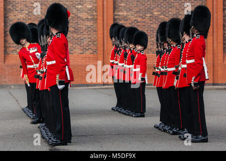 Windsor, Royaume-Uni. 21 Février, 2018. Un préposé inspecte le 1er Bataillon Coldstream Guards, choisie pour ses troupes de couleur pour l'anniversaire de la Reine le 9 juin Parade. Les soldats sont testés sur des connaissances militaires, l'histoire, les valeurs et les normes et leurs uniformes, de présentation et d'exercice sont minutieusement examinée. Les Coldstream Guards est le plus ancien régiment dans l'armée britannique. Credit : Mark Kerrison/Alamy Live News Banque D'Images