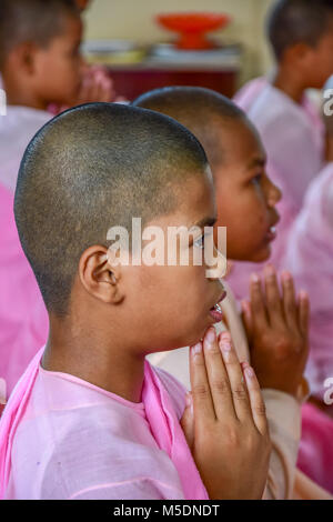 Dawei, Myanmar - 11 juillet 2015 : des religieuses en robe rose scandant en face de l'image de Bouddha dans un temple bouddhiste à Dawei du Myanmar. Banque D'Images