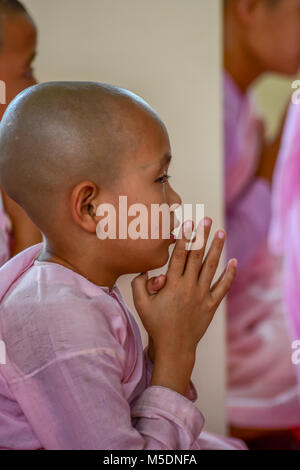 Dawei, Myanmar - 11 juillet 2015 : des religieuses en robe rose scandant en face de l'image de Bouddha dans un temple bouddhiste à Dawei du Myanmar. Banque D'Images