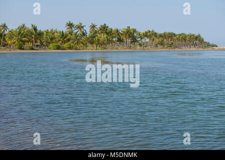 Sri Lanka, la région, l'Asie, Kalpitiya Mer, plage, palmier Banque D'Images