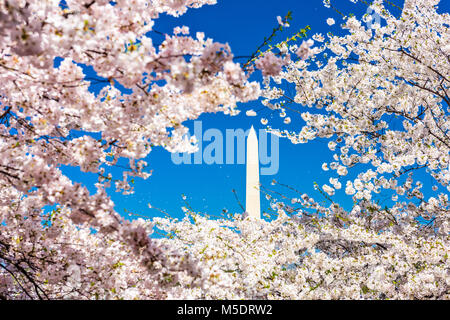 Washington DC, USA dans la saison du printemps. Banque D'Images
