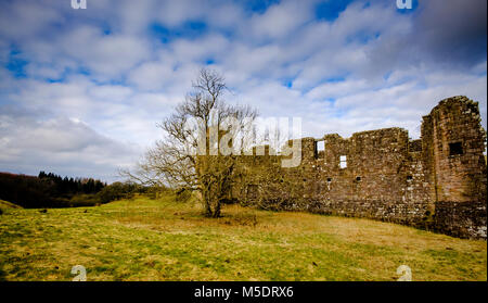 Morton Château est situé par un loch artificiel dans les collines au-dessus de Nithsdale, dans la région de Dumfries et Galloway, au sud-ouest de l'Écosse. Il se trouve à 2,5 milles au nord-ea Banque D'Images