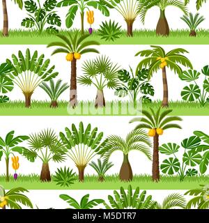 Modèle transparent avec des palmiers tropicaux. Plantes tropicales exotiques Illustration de nature jungle Illustration de Vecteur