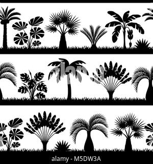 Modèle transparent avec des palmiers tropicaux. Plantes tropicales exotiques Illustration de nature jungle Illustration de Vecteur