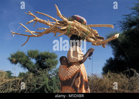 Au Niger, près d'Agadez Iferouane. Désert du Sahara. Les montagnes de l'air. Sahel. Tribu touareg. Les nomades. Femme avec bébé le transport de bois de feu. Banque D'Images