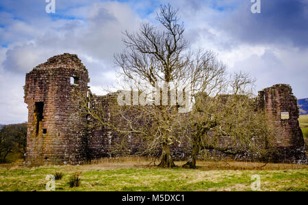 Morton Château est situé par un loch artificiel dans les collines au-dessus de Nithsdale, dans la région de Dumfries et Galloway, au sud-ouest de l'Écosse. Il se trouve à 2,5 milles au nord-ea Banque D'Images