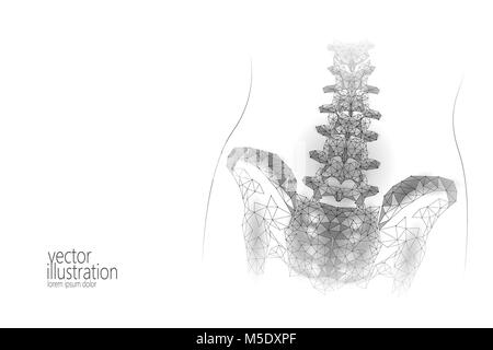Les droits de la colonne vertébrale lombaire douleur hanche radiculite basse poly. Triangle particules polygonales géométrique point line médecine future technology abstract gris blanc vector illustration Illustration de Vecteur