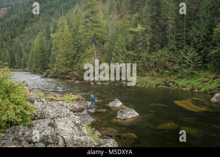 Amérique du Nord, USA, Pacific Northwest,New York, Nez Perce-Clearwater Lochsa River National Forest, le long de la pêche à la mouche, Lewis et Clark Trail Banque D'Images