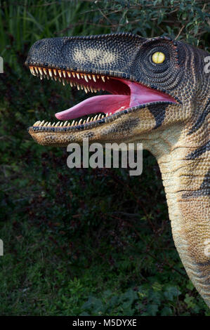 La tête d'un dinosaure, d'un modèle grandeur nature, montrant ses dents pointu et un oeil jaune en vrille. La Côte Jurassique, Dorset, Angleterre. Banque D'Images