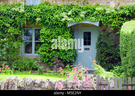 Bleu pastel, portes en bois dans une vieille maison en pierre de chaux traditionnel anglais entouré de lierre grimpant à fleurs plantes d'été, . Banque D'Images