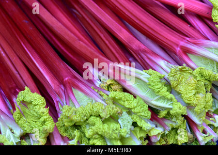 Rhubarbe fraîche sur l'affichage à l'un de légumes Fruits et légumes stand à Borough Market, dans le centre de Londres. La rhubarbe fruits yorkshire mange sain Banque D'Images