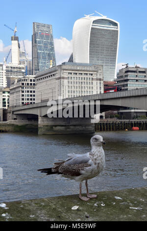 Une autre ville de Londres avec un Sea Gull bird au premier plan assis sur un mur. london financial district avec ciel bleu et bus Banque D'Images