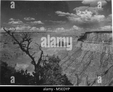 HistoricTrail Grand Canyon Vue vers l'EST DE PRÈS DE TRAILVIEW, WEST RIM DRIVE. Vers 1954. . Banque D'Images