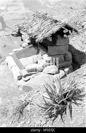 B Grand Canyon fougère fossile Pièce Vue de côté : SCHISTE HERMIT fougère fossile la pièce avec toit de chaume à l'ORIGINE SUR LE S DE CEDAR RIDGE TRAIL KAIBAB. 13 SEP 1937. . Banque D'Images