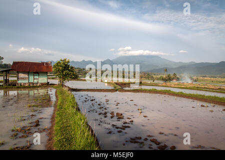Terres agricoles de Sumatra, en Indonésie. Belle image paysage de terres incultes ou plutôt les rizières de riz partitionné en attente pour la culture Banque D'Images
