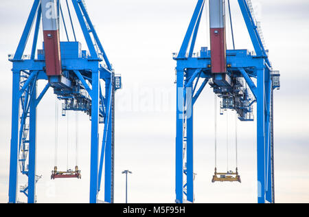 Gênes (Genova), l'Italie, le 14 janvier 2017 - Big grues du port de Gênes (Genova), Italie Banque D'Images