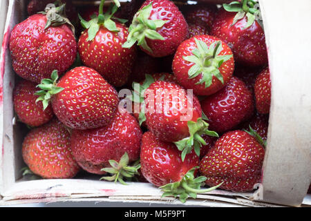 Fraises biologiques dans le panier en bois pour la vente ; Banque D'Images