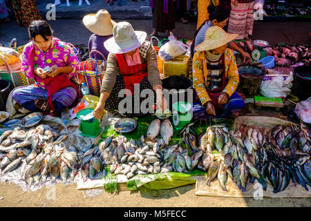 Les femmes des pêcheurs locaux vendent du poisson frais dans le marché de la rue de la ville Banque D'Images