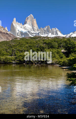 Mt. Fitz Roy 3405m ; Laguna Capri, Patagonie, Argentine Banque D'Images