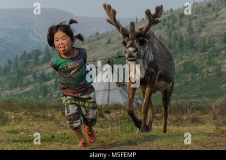 La vie Tsaatan, gardien de rennes, Tsaaganuur, Mongolie Banque D'Images