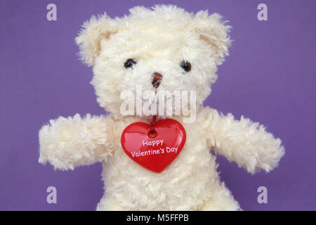 Bonne Saint Valentin Ours Banque D'Images