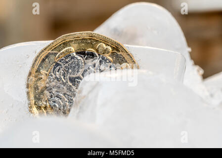 Nouveau congelé une livre sterling britannique près de monnaie jusqu'à l'intérieur de cubes de glace macro. Banque D'Images