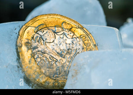 Nouveau congelé une livre sterling britannique près de monnaie jusqu'à l'intérieur de cubes de glace macro. Banque D'Images