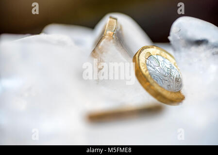 Nouveau congelé une livre sterling britannique près de monnaie jusqu'à l'intérieur de cubes de glace macro. Banque D'Images