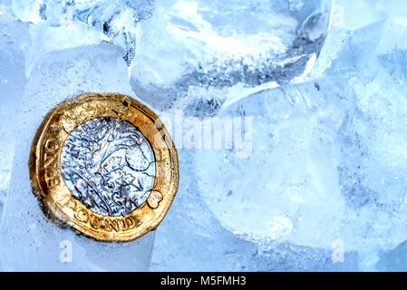 Nouveau congelé une livre sterling britannique près de monnaie jusqu'à l'intérieur de cubes de glace macro. Banque D'Images