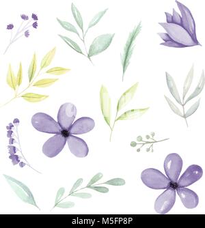 Éléments de botanique aquarelle mauve, fleurs, feuilles et branches à la main. Illustration à l'aquarelle à la main. Illustration de Vecteur