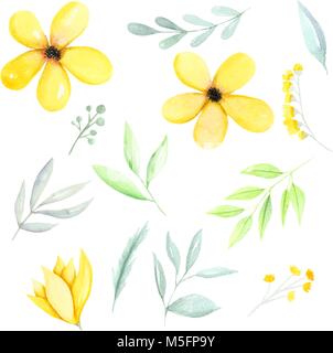 Éléments de botanique aquarelle jaune, jaune fleurs, feuilles et branches vert à la main. Illustration à l'aquarelle à la main. Illustration de Vecteur