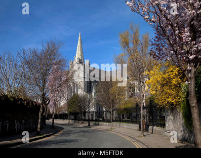 La Cathédrale Saint Patrick fondée en 1191, est la plus haute et la plus grande église en Irlande et le plus important. St Patrick's, près de la ville de Dublin, en Irlande. Banque D'Images