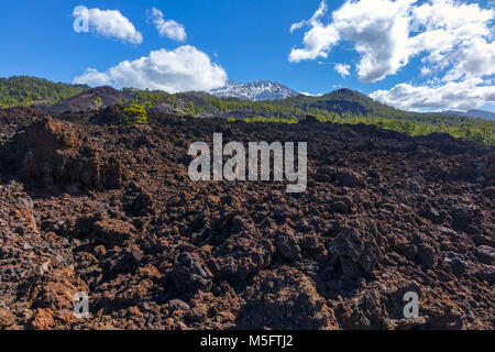 Les coulées volcaniques et les forêts de pins sur El tiede, Teneriffe montagne Banque D'Images