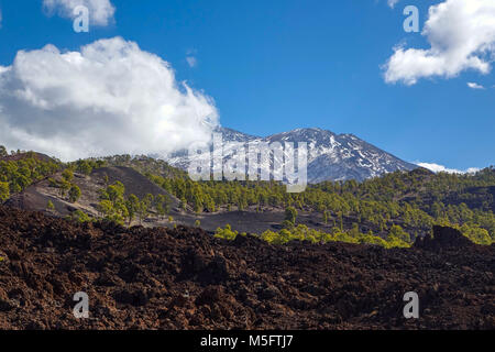 Les coulées volcaniques et les forêts de pins sur El tiede, Teneriffe montagne Banque D'Images