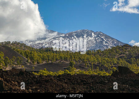 Les coulées volcaniques et les forêts de pins sur El tiede, Teneriffe montagne Banque D'Images