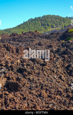 Les coulées volcaniques et les forêts de pins sur El tiede, Teneriffe montagne Banque D'Images