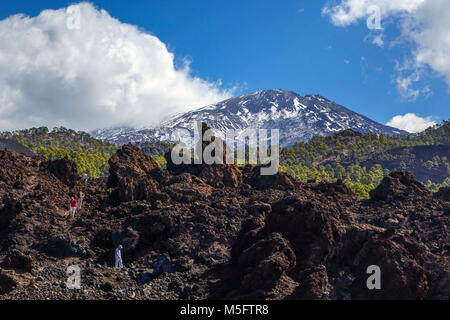 Les coulées volcaniques et les forêts de pins sur El tiede, Teneriffe montagne Banque D'Images