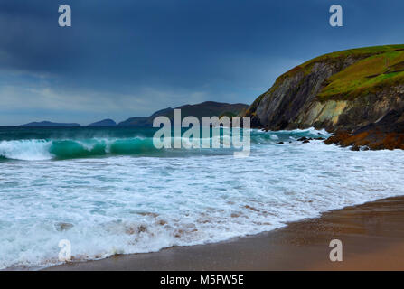 Coumeenoole Beach à Slea Head, péninsule de Dingle, comté de Kerry, Irlande Banque D'Images