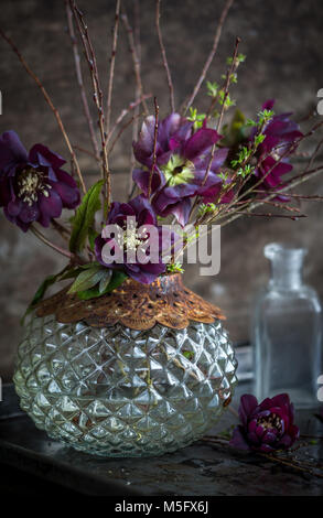 Hellebore pourpre fleurs avec des brindilles dans un vase vintage Banque D'Images