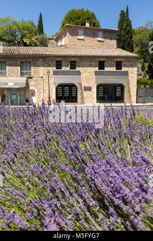 GORDES, FRANCE - 25 juin 2017 : l'essor de la lavande en Provence. Provence, France Banque D'Images