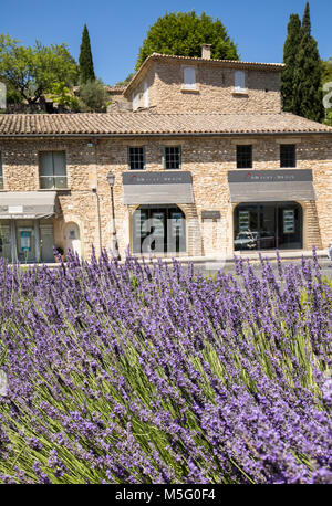 GORDES, FRANCE - 25 juin 2017 : l'essor de la lavande en Provence. Provence, France Banque D'Images