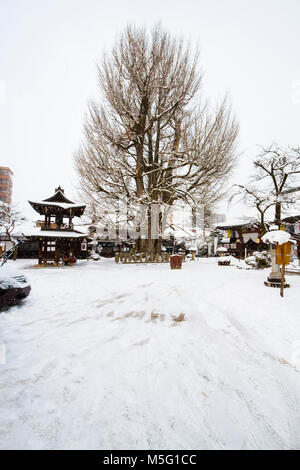 Kokubunji (Temple Kokubun) sur le jour de neige dans la ville de Takayama en hiver ,temple à Takayama, JAPON. Banque D'Images