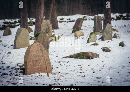 Cimetière Musulman à Kruszyniany, ancien village Tatars polonais au sein de l'établissement, comté de Sokolka Podlaskie Voivodeship de Pologne Banque D'Images