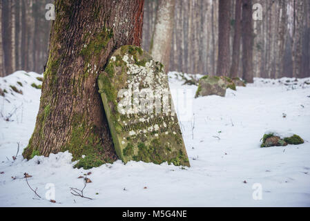 Cimetière Musulman à Kruszyniany, ancien village Tatars polonais au sein de l'établissement, comté de Sokolka Podlaskie Voivodeship de Pologne Banque D'Images