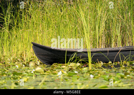 Radeau traditionnel appelé Lotca le bateau de pêche des Gunners dans le Delta du Danube Delta du Danube (Roumanie) près de Letea Village Banque D'Images