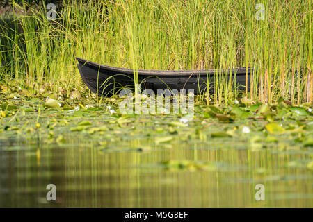 Bateau de pêche traditionnel Lotca des Gunners dans le Delta du Danube Delta du Danube (Roumanie) près de Letea Village Banque D'Images